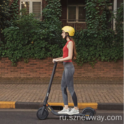 Xiaomi Segway Ninebot E25 электрический щелок